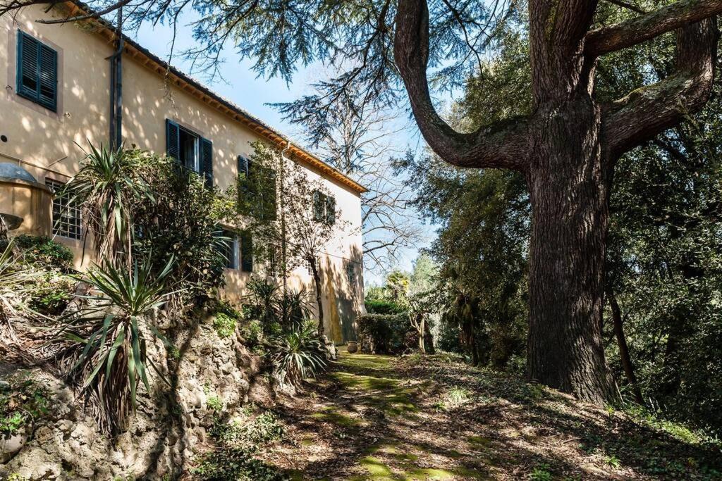 Villa Ott Crespina Luaran gambar
