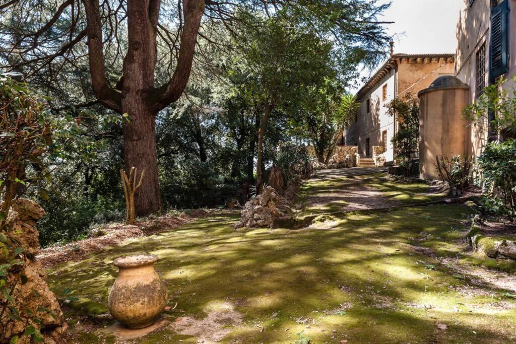 Villa Ott Crespina Luaran gambar